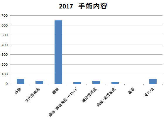 形成手術内容